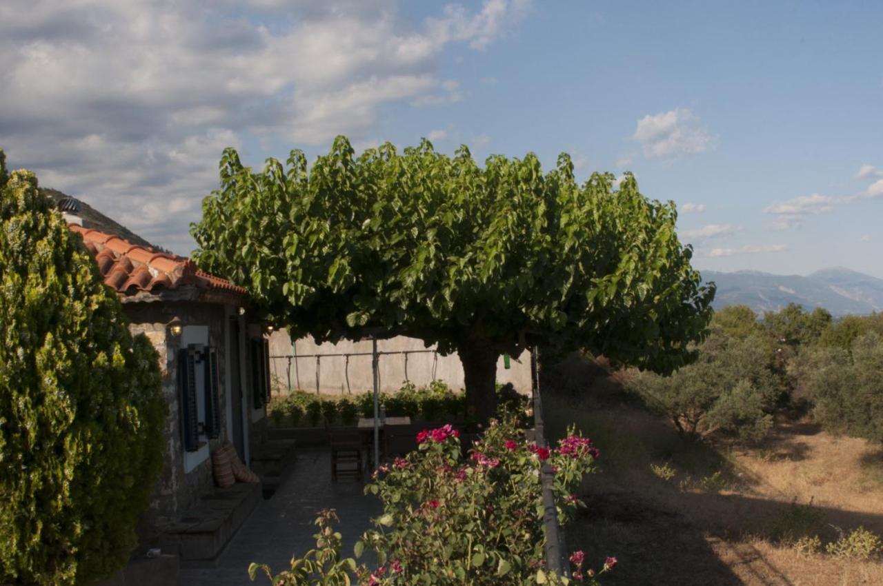 Villa Anna Nafpaktos Luaran gambar